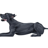 Great Dane Decal - CoverAlls Decals