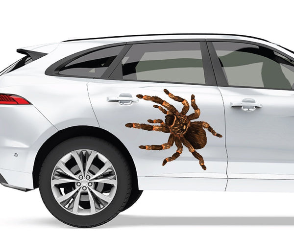 Hairy Tarantula - Car Floats Reusable Car Decals