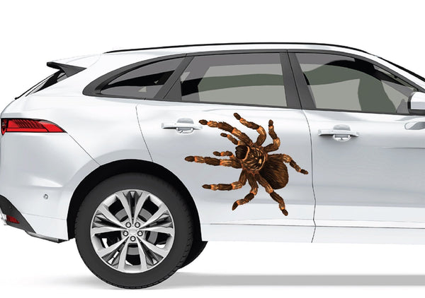 A large Hairy Tarantula Decal from Cover-Alls on the door of a white SUV, giving an illusion of the spider crawling on the vehicle.