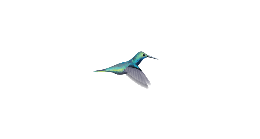 Hummingbirds - Car Floats Reusable Car Decals