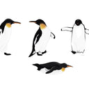  Set of 4 young penguins