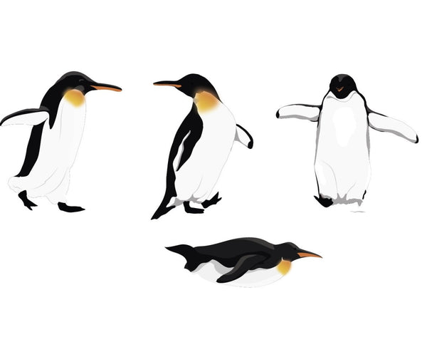 King Penguins - CoverAlls Decals