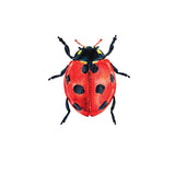 Ladybug Decals - CoverAlls Decals
