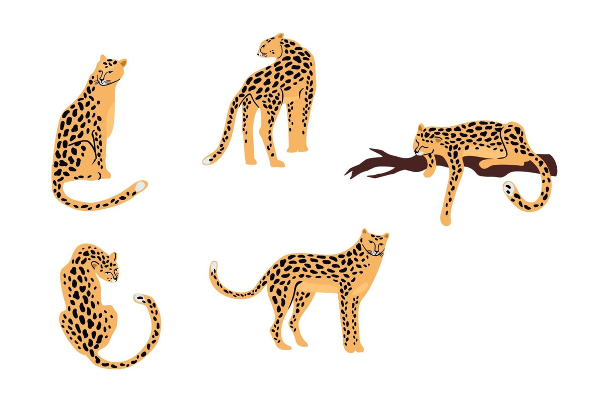 Leopards - CoverAlls Decals