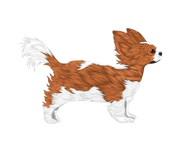 Life-Sized Cavalier King Charles Spaniel Decals - CoverAlls Decals