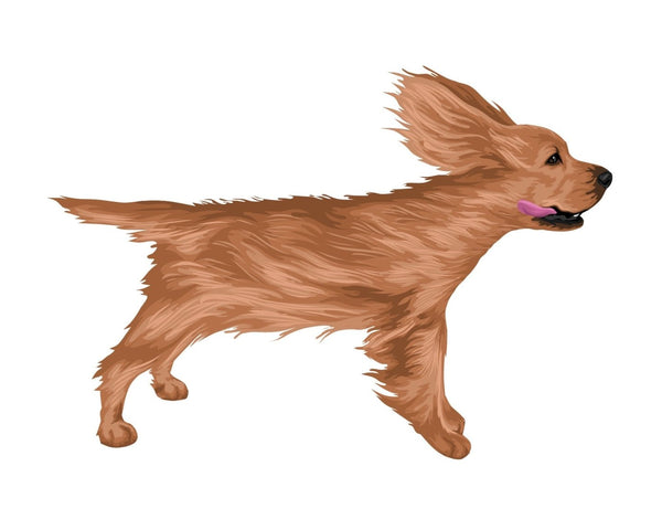 Life-Sized Cocker Spaniel Decal - CoverAlls Decals