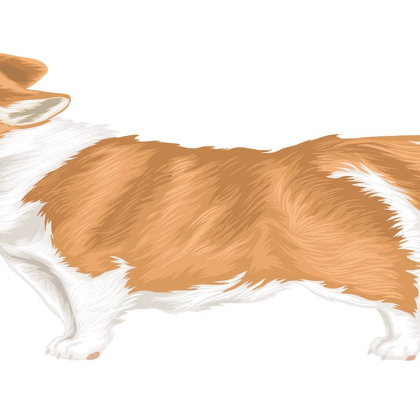 Life-Sized Corgi Decal - CoverAlls Decals