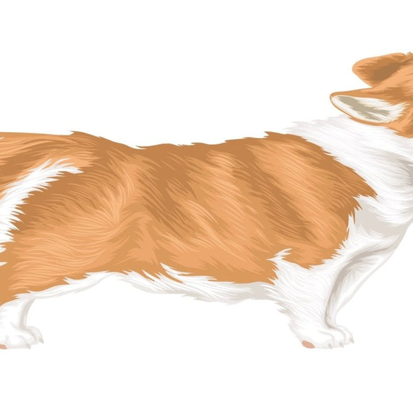 Life-Sized Corgi Decal - CoverAlls Decals