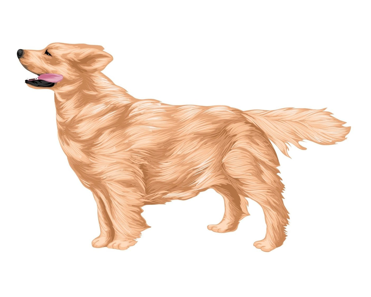 Life-Sized Golden Retriever Decal - CoverAlls Decals