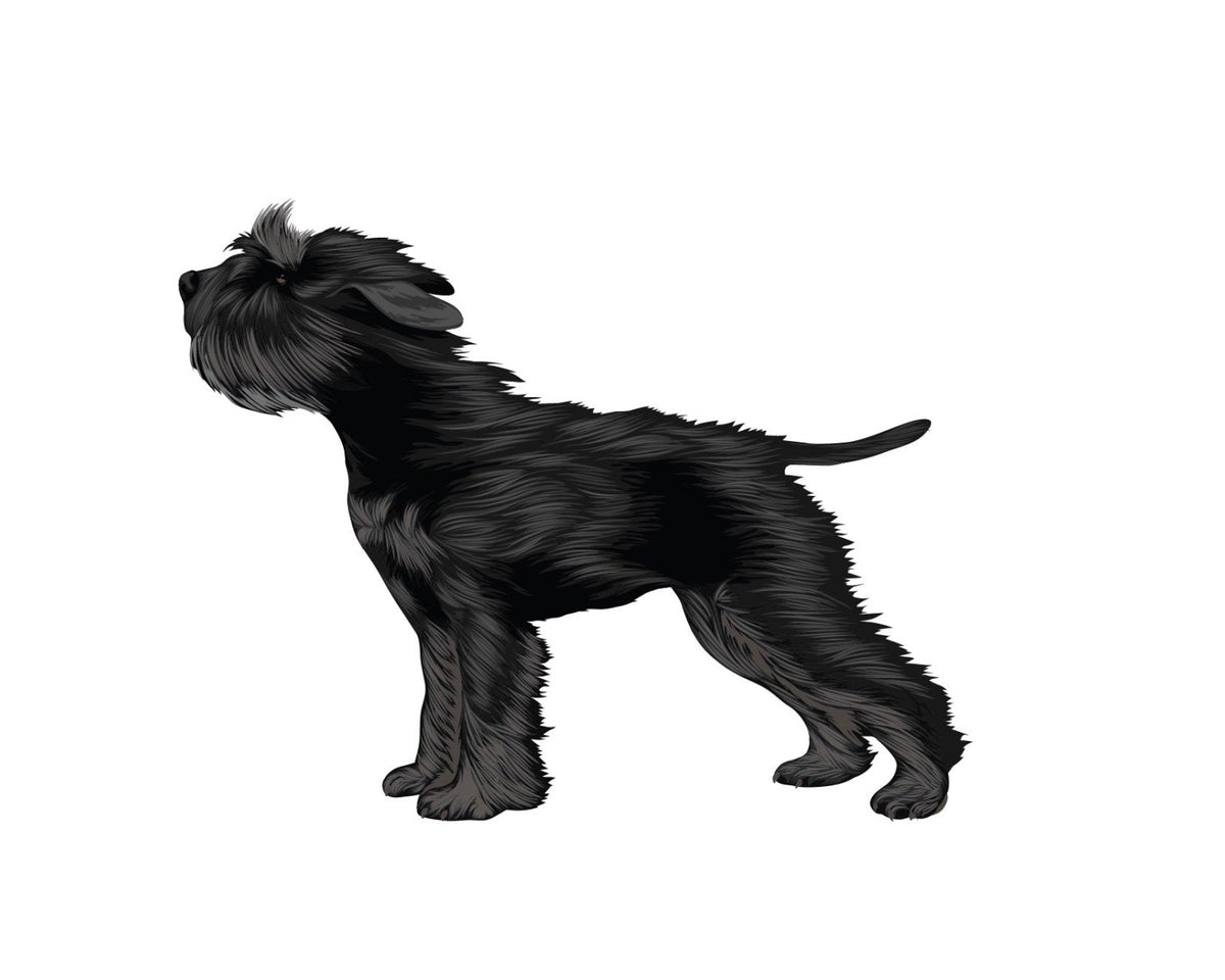 Life-Sized Miniature Schnauzer Decal - CoverAlls Decals
