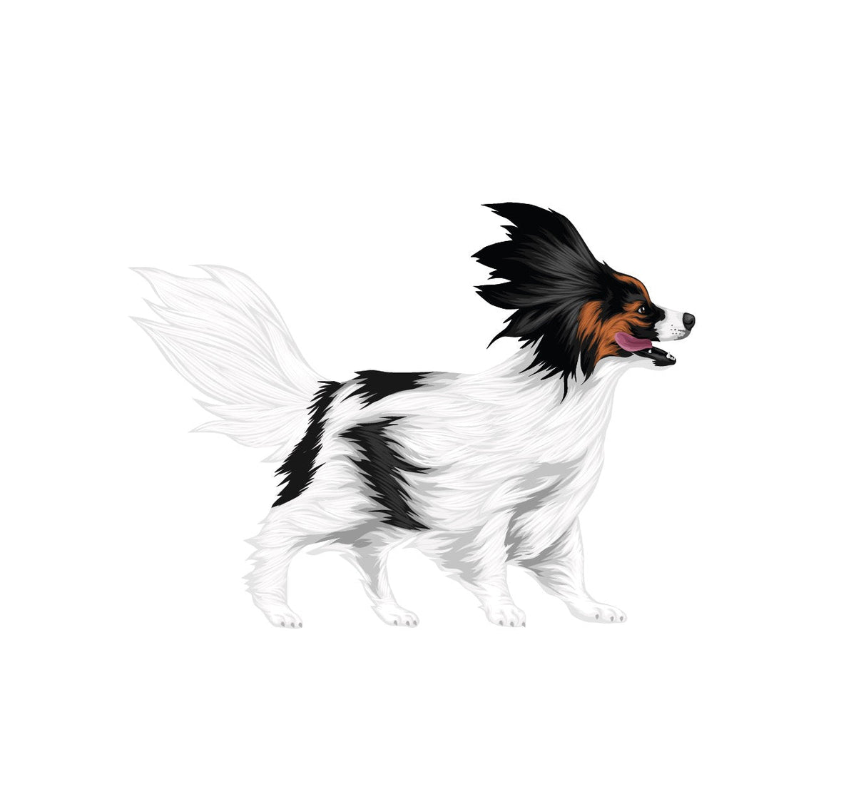 Life-Sized Papillon Decals - CoverAlls Decals