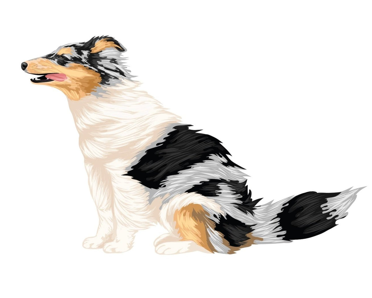 Life-Sized Shetland Sheepdog Decals - CoverAlls Decals