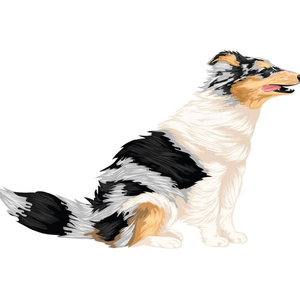 Life-Sized Shetland Sheepdog Decals - CoverAlls Decals