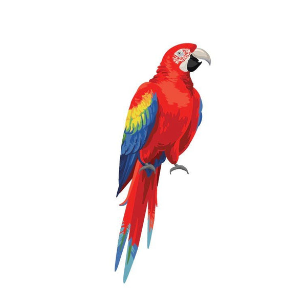 Parrots and Macaws - CoverAlls Decals