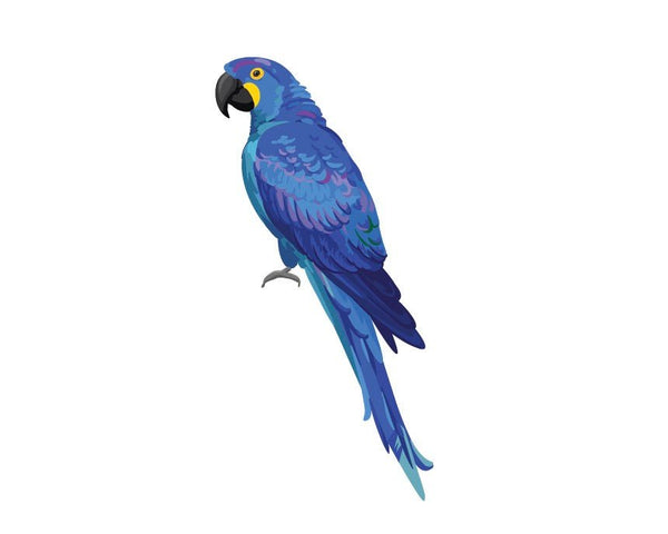 Parrots and Macaws - CoverAlls Decals