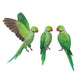  Set of Green Parrots