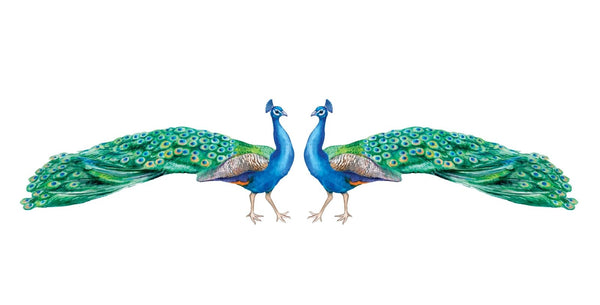 Peacock Decals - CoverAlls Decals