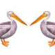  Both Standing Pelicans