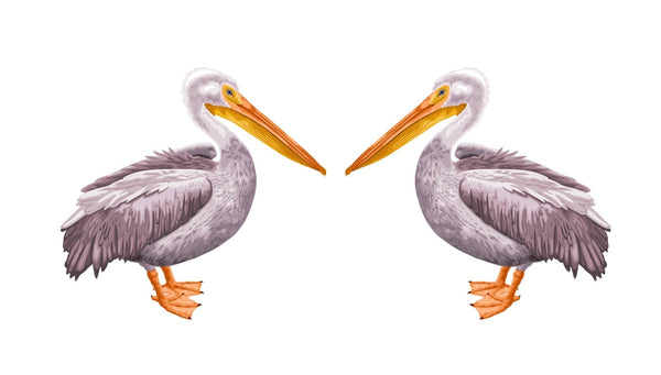 Pelican - CoverAlls Decals