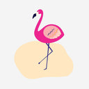  Flamingo on Sand