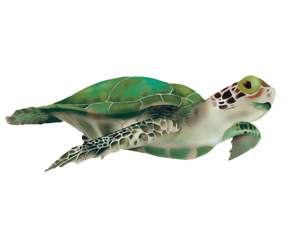 Sea Turtle - Car Floats Reusable Car Decals