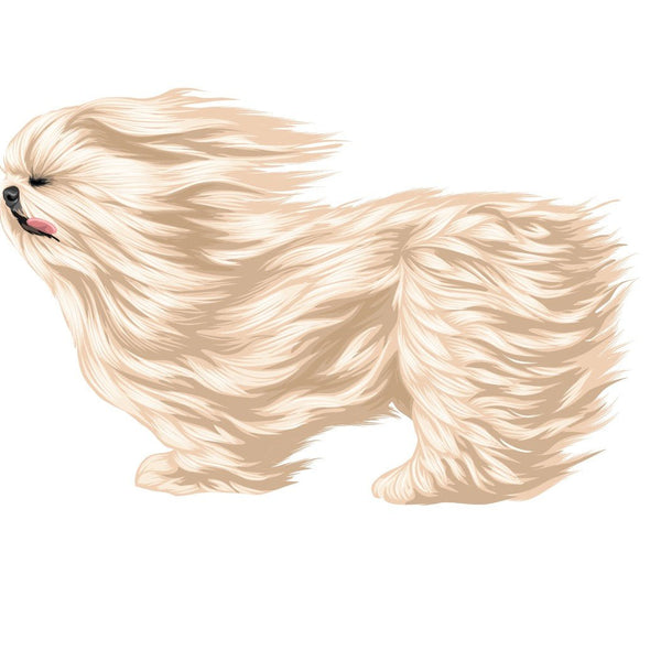 Shi Tzu - Car Floats Reusable Car Decals