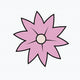  Pink Star Flower