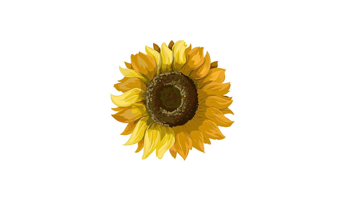 Sunflower decal 2024