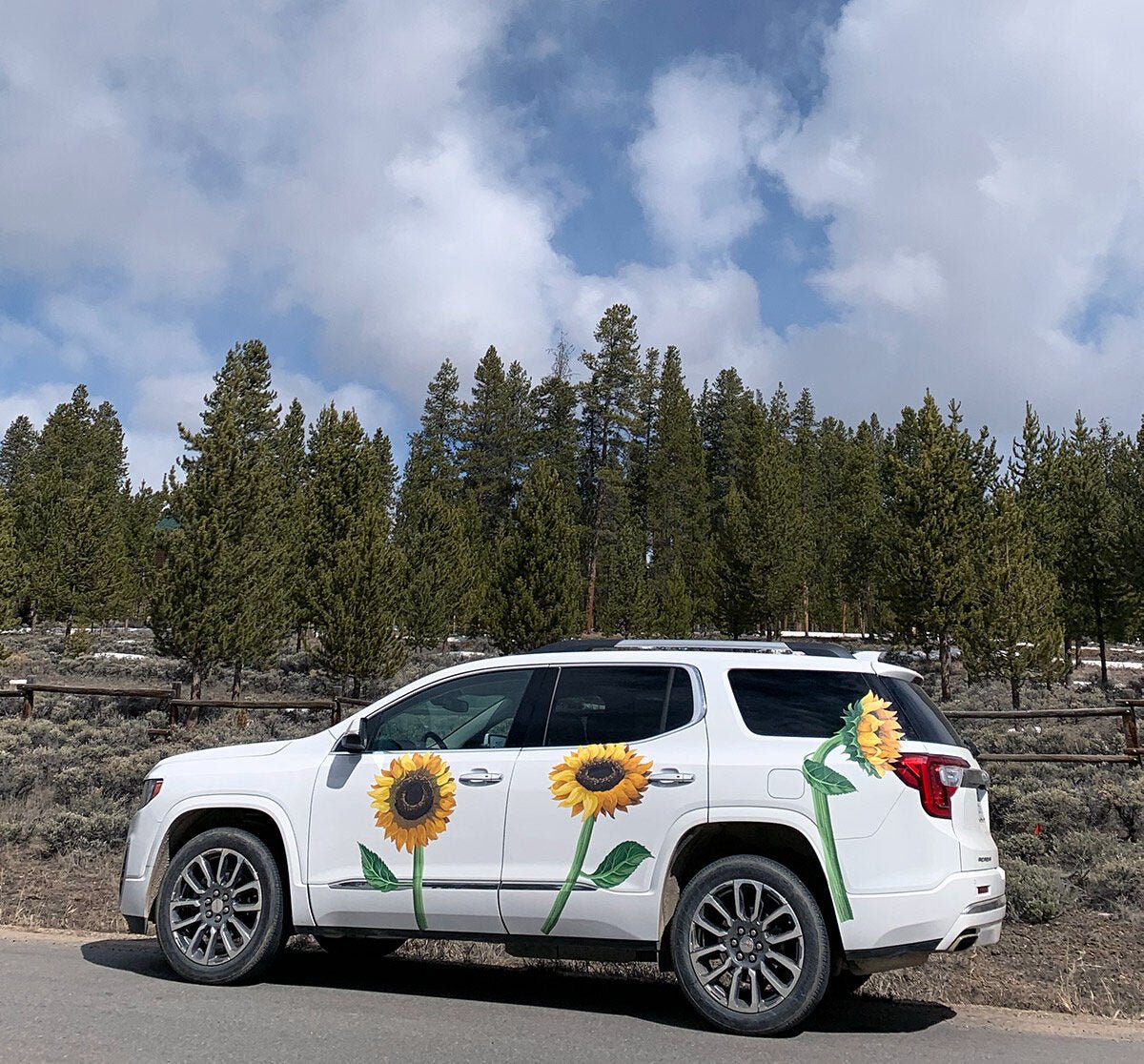 Sunflowers - Car Floats Reusable Car Decals