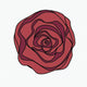  Swirl Rose — lighter red