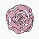  Swirl Rose — dusty pink