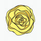  Swirl Rose — yellow