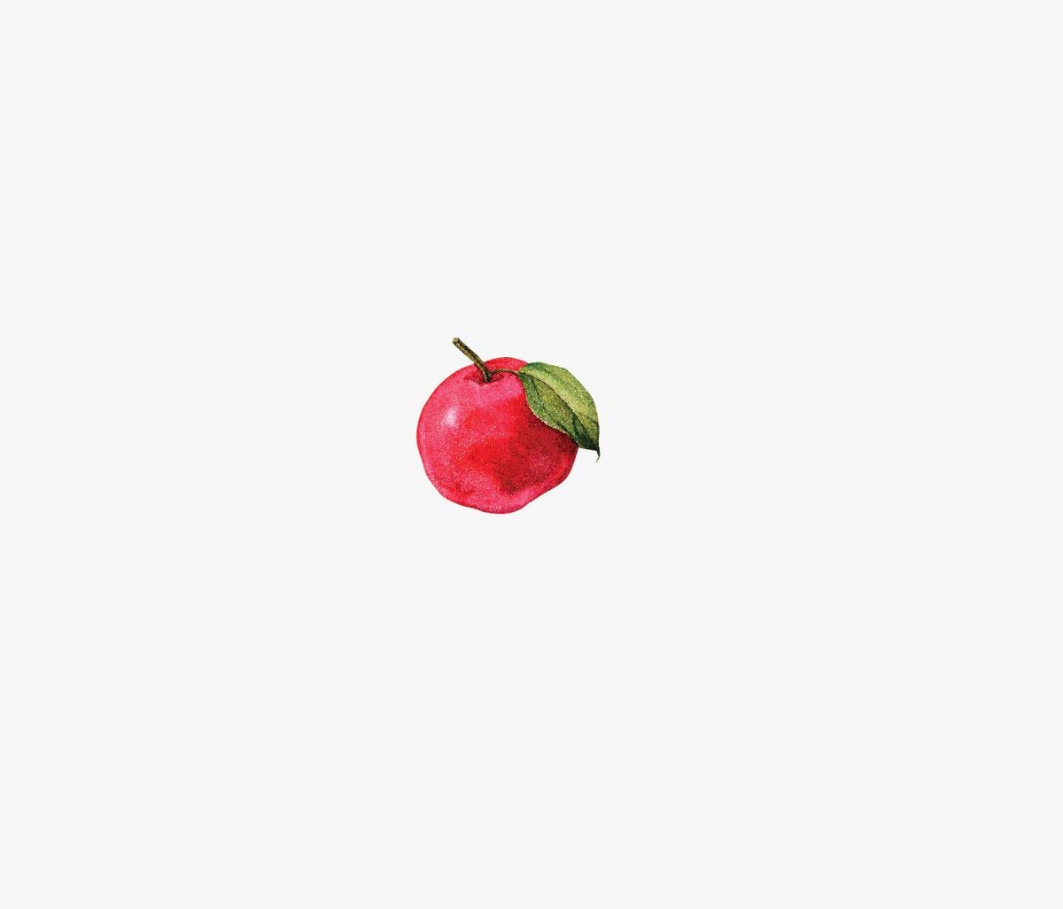 A single red apple with a green leaf, centered against a plain white background, adorned with Cover-Alls Thanksgiving Cornucopia Decals.