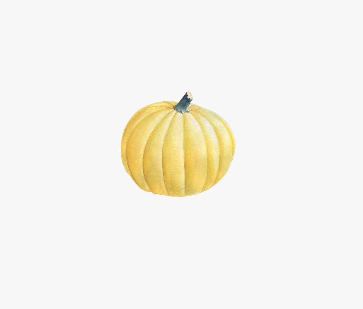 Watercolor illustration of a pale yellow pumpkin, ideal for Thanksgiving decorations, with visible brush strokes, isolated on a white background featuring Cover-Alls Thanksgiving Cornucopia Decals.