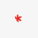  Red Maple Leaf