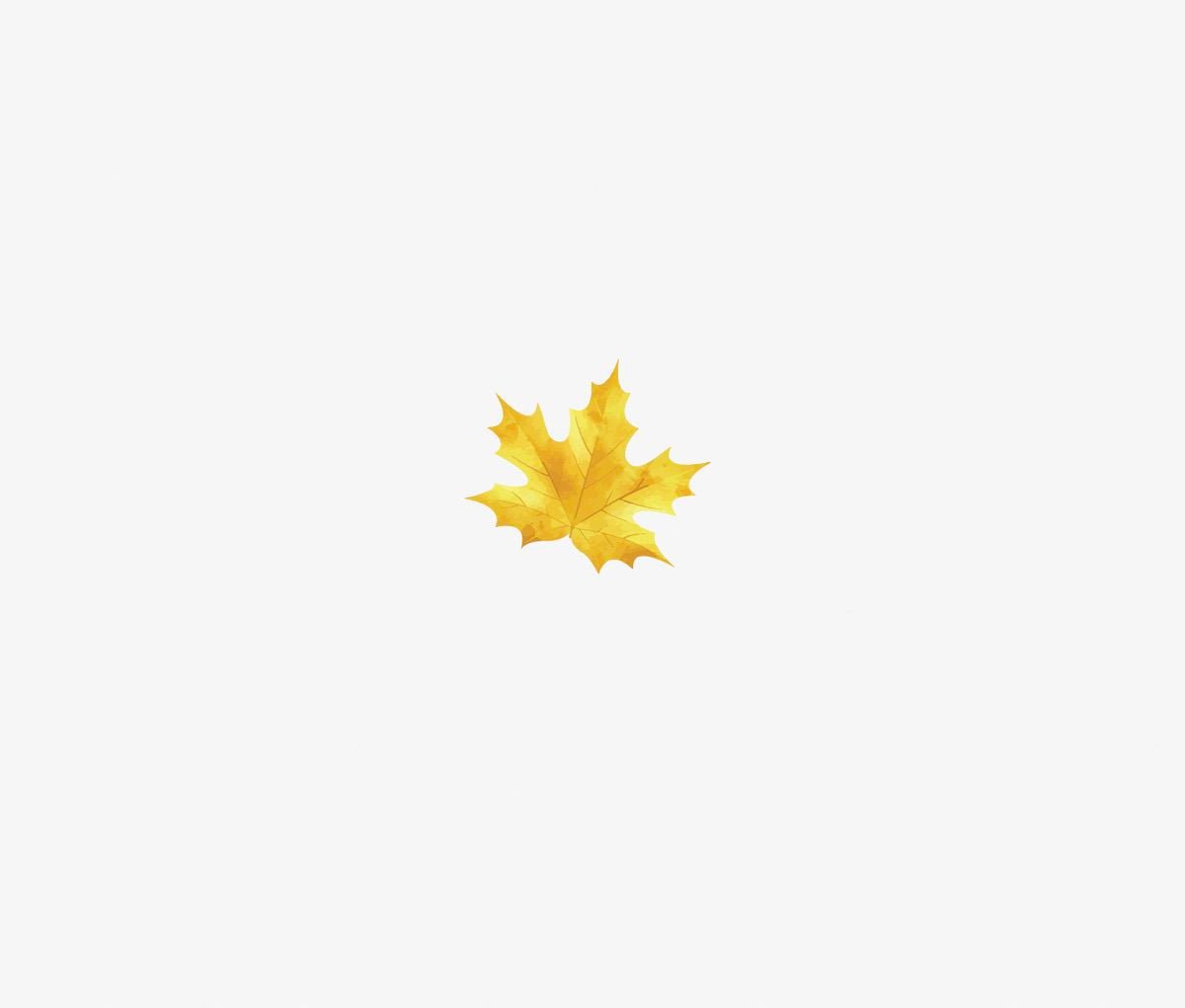 A single yellow maple leaf, symbolizing Cover-Alls Thanksgiving Cornucopia Decals, centered on a plain white background.