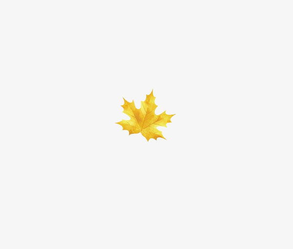 A single yellow maple leaf, symbolizing Cover-Alls Thanksgiving Cornucopia Decals, centered on a plain white background.