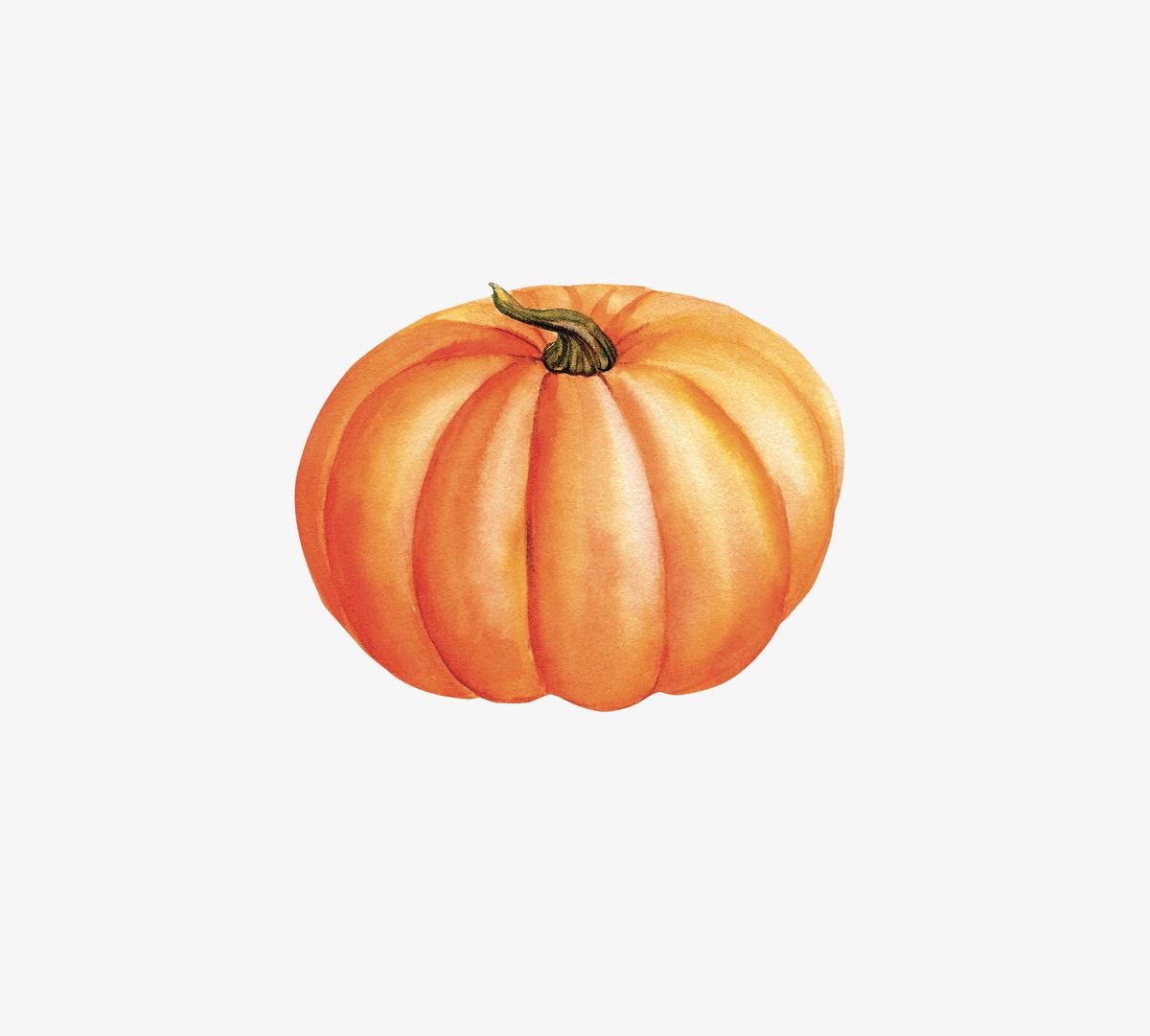 Illustration of a bright orange pumpkin with pronounced vertical ribs and a small green stem, surrounded by Cover-Alls Thanksgiving Cornucopia Decals, isolated on a white background.