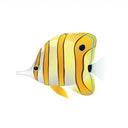  Copperband Butterfly Fish