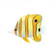  Copperband Butterfly Fish