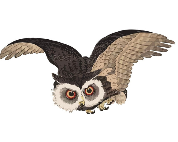 An illustration of a Halloween-themed CoverAlls Woodblock Owl flying on a white background.