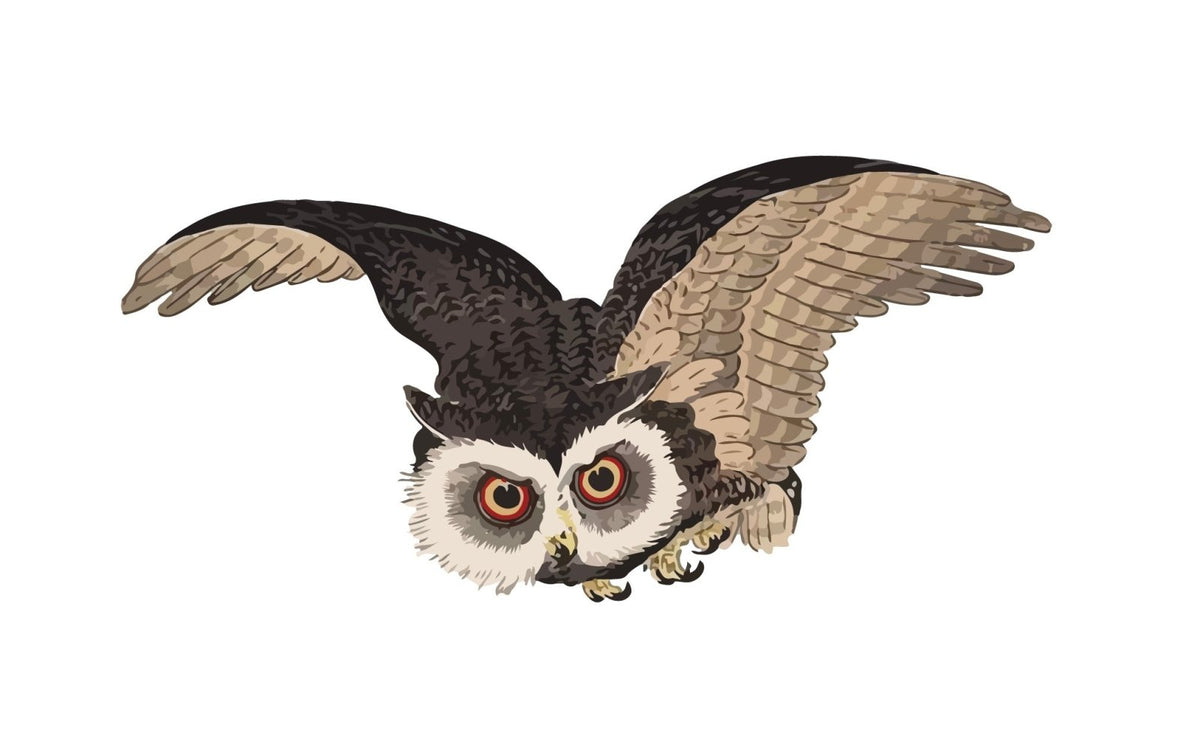 Illustration of a Cover-Alls Woodblock Owl in flight, with its wings spread wide and large, intense red eyes focused forward.
